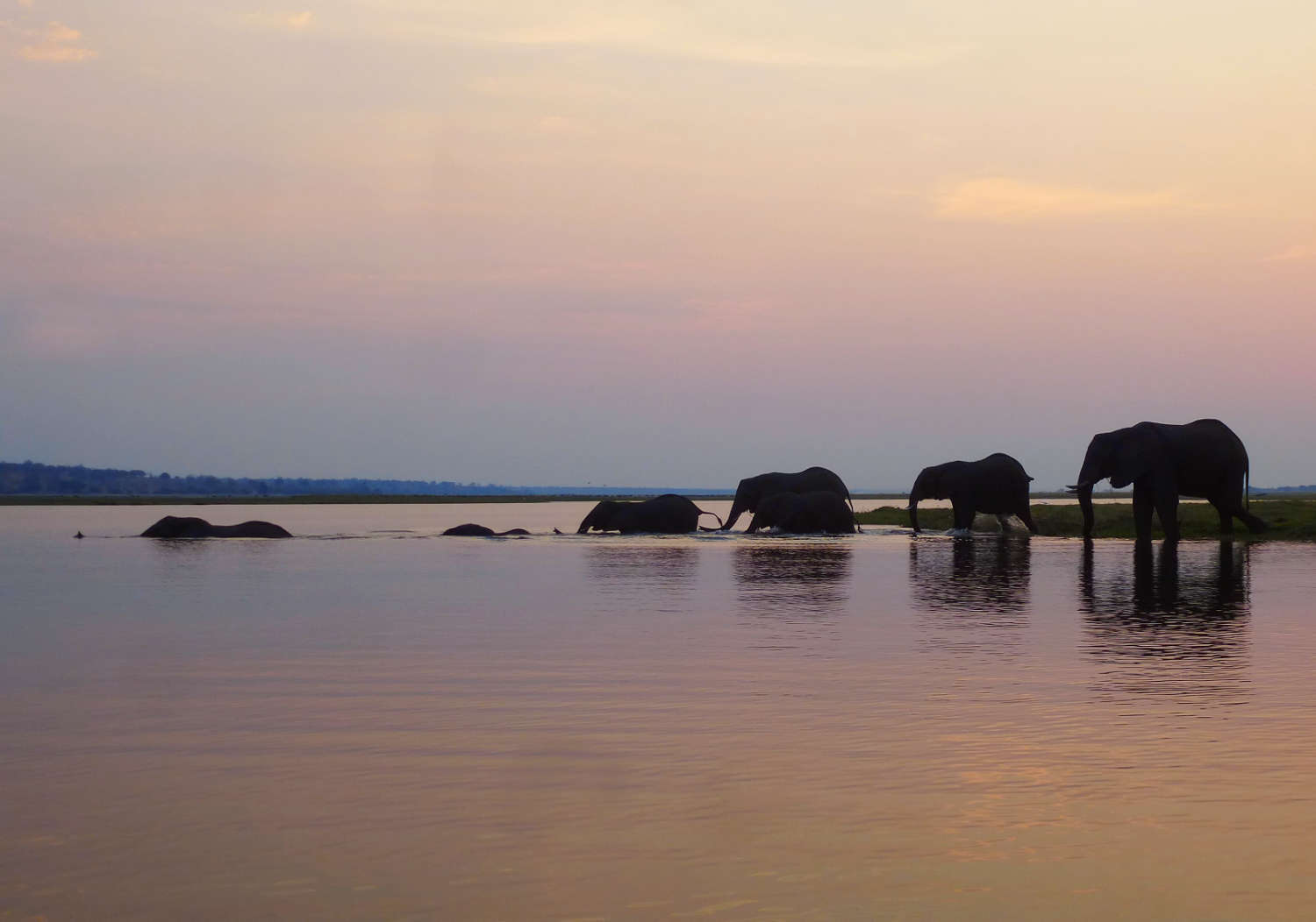 etosha paln-eau