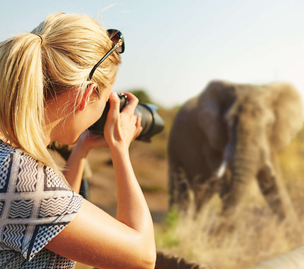 photographier%20elephant